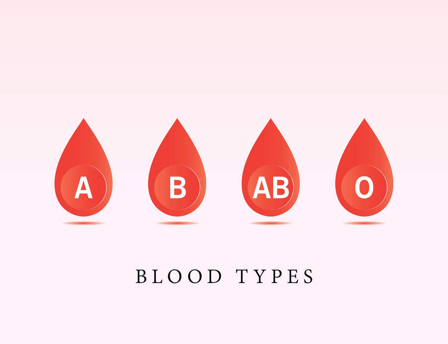 0415-does-your-blood-type-determine-your-personality-questions