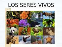 seres vivos y no vivos - Grado 6 - Quizizz