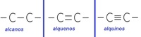 alcanos cicloalcanos y grupos funcionales - Grado 2 - Quizizz