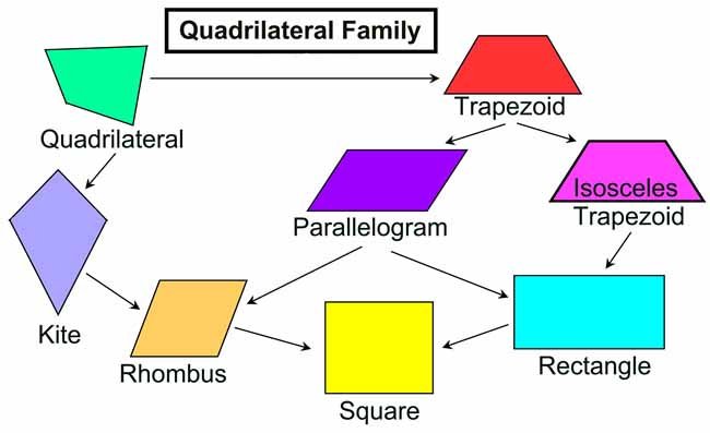 Quadrilaterals - Class 12 - Quizizz