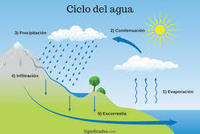 movimientos del agua del océano Tarjetas didácticas - Quizizz