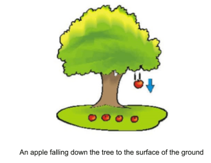 Gravitational Force | Science - Quizizz