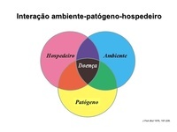 Propriedades dos Expoentes - Série 1 - Questionário