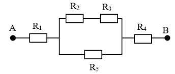 Sức khỏe & Sức khỏe - Lớp 11 - Quizizz