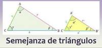 semejanza - Grado 10 - Quizizz