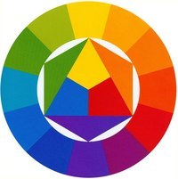 Color - Grado 8 - Quizizz