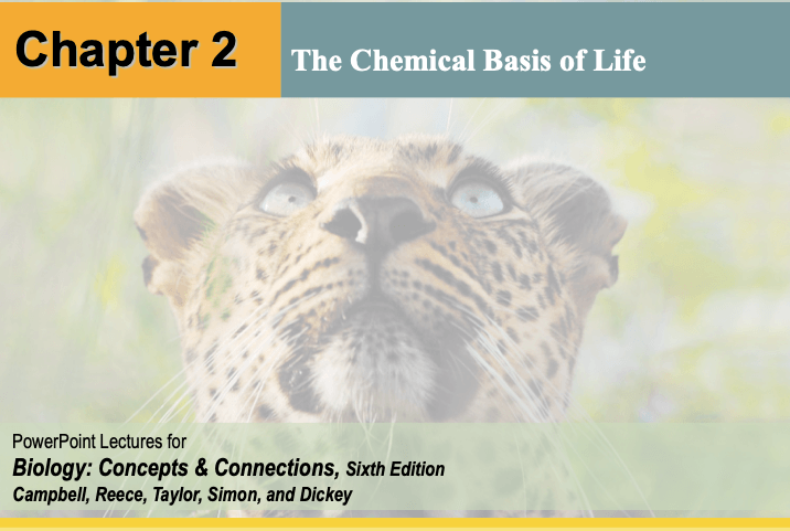 The Chemical Basis of Life