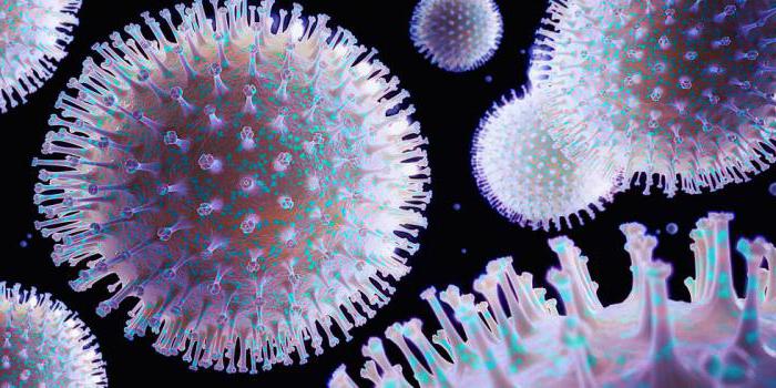 Mikroorganisma Tahun 6  Science Quiz  Quizizz
