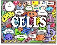the cell membrane - Year 3 - Quizizz