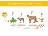 termodinâmica Flashcards - Questionário