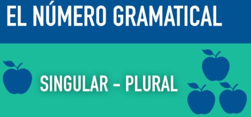 eletrocardiograma - Série 8 - Questionário