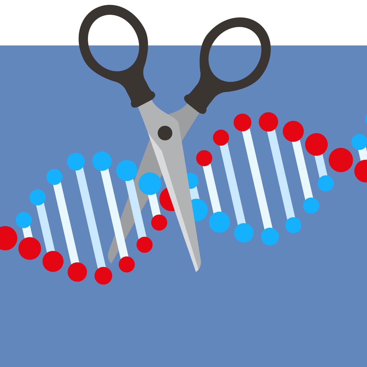 gene regulation - Year 9 - Quizizz