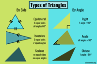 Classifying Shapes - Class 9 - Quizizz