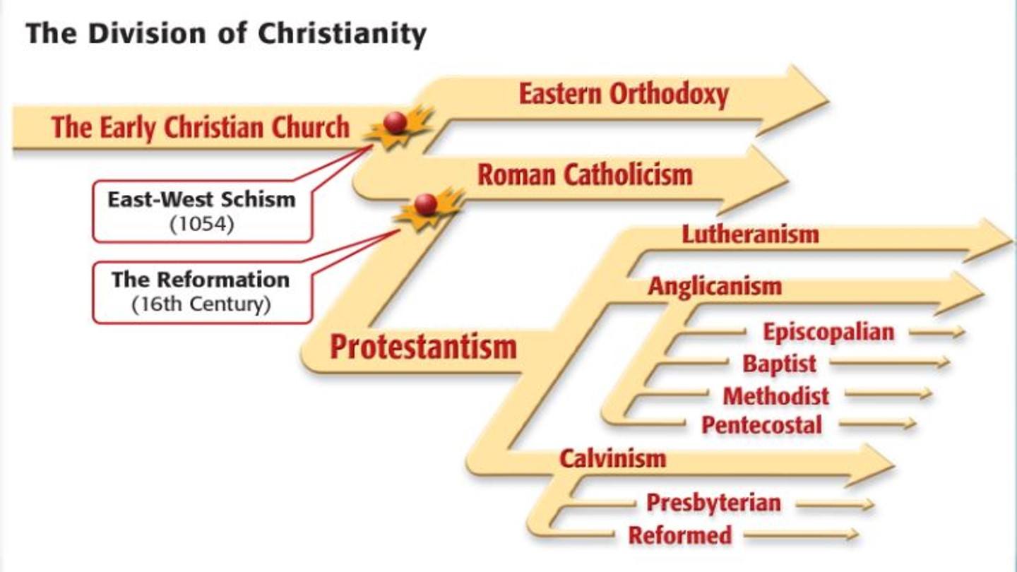 The Reformation part 2 questions & answers for quizzes and tests - Quizizz