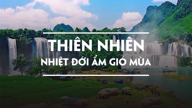 Hoạt động thiên nhiên - Lớp 1 - Quizizz