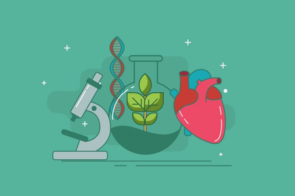 biología del comportamiento - Grado 12 - Quizizz