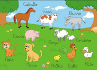 animales - Grado 2 - Quizizz