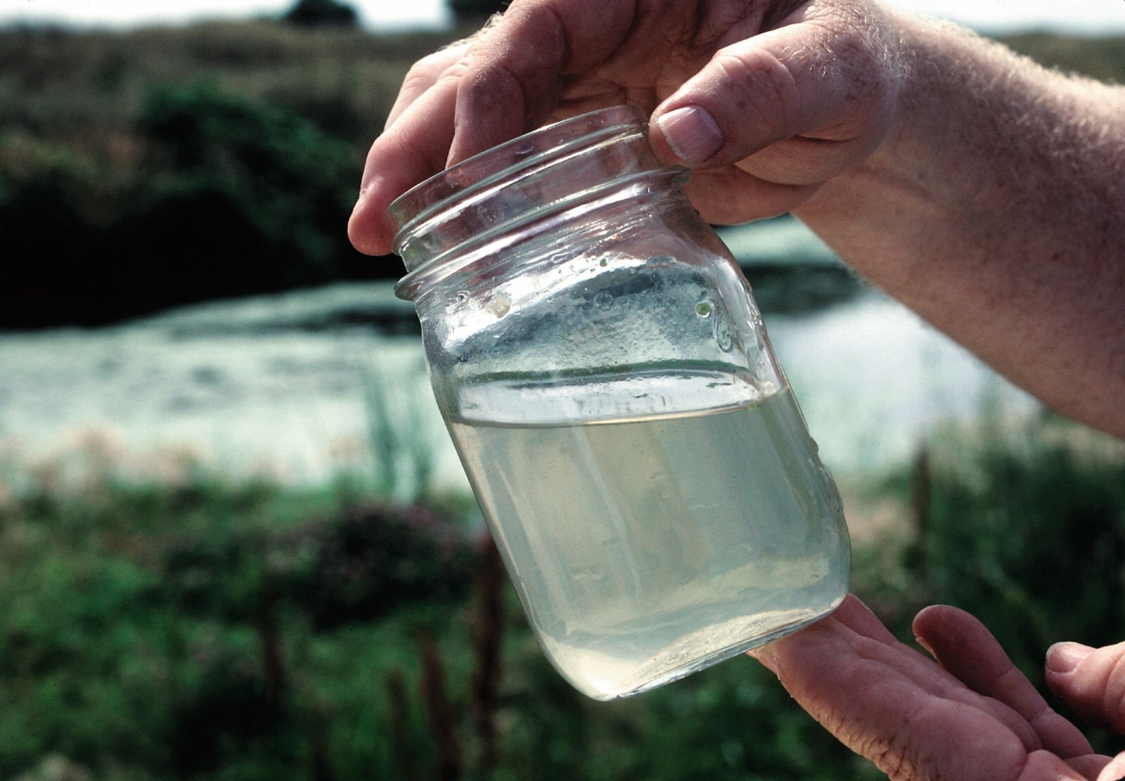 water-quality-testing-other-quiz-quizizz