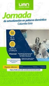 Médico Tarjetas didácticas - Quizizz