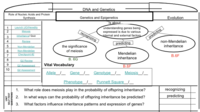 non mendelian inheritance - Class 8 - Quizizz