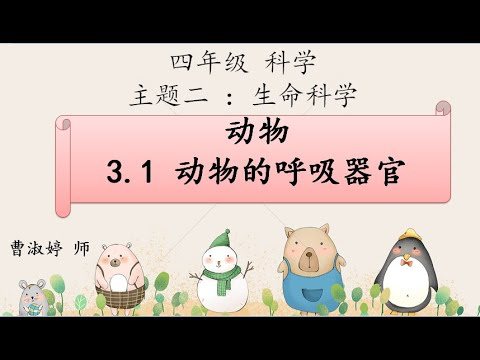 四年级动物的生命过程2 Science Quiz Quizizz