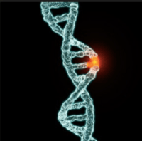 genetic mutation - Grade 9 - Quizizz