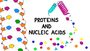 Nucleic Acids & Proteins