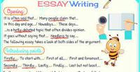 Essay Writing 