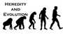 heredity and evolution class 10
