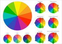 Color - Grado 10 - Quizizz