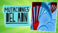 estructura cromosómica y números - Grado 10 - Quizizz