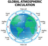 atmospheric circulation and weather systems - Year 12 - Quizizz
