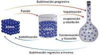 sólidos líquidos y gases - Grado 7 - Quizizz