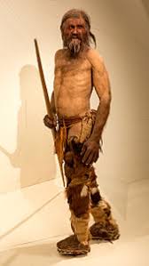 Otzi The Iceman Walker World History Quiz Quizizz