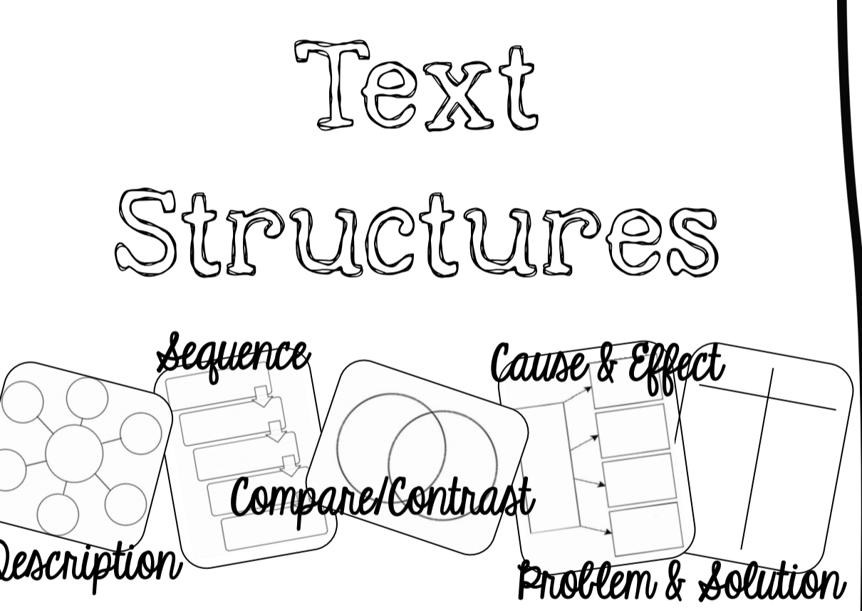 text-structure-practice-english-quizizz