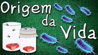 evolução e a árvore da vida - Série 12 - Questionário