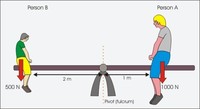 torque and angular momentum - Year 7 - Quizizz