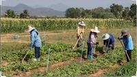 Actividades en la naturaleza - Grado 5 - Quizizz