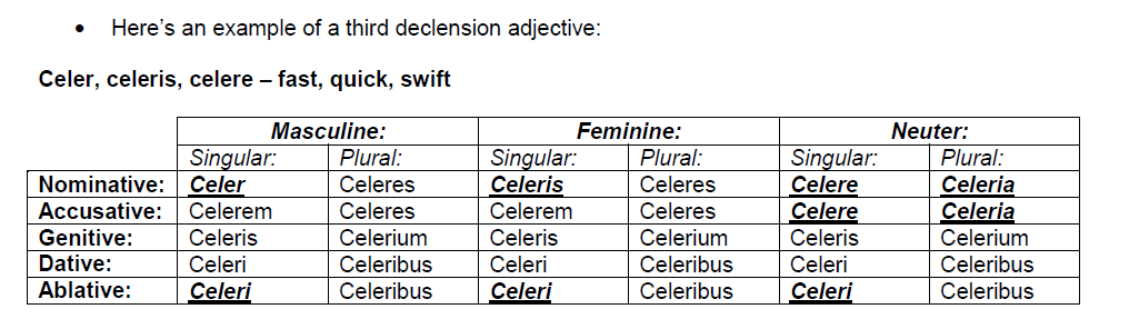 3rd-declension-adjectives-world-languages-quizizz