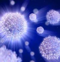 the immune system - Class 6 - Quizizz