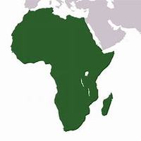 countries in africa Flashcards - Quizizz