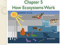 How Books Work - Class 10 - Quizizz