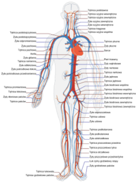 Biología - Grado 4 - Quizizz