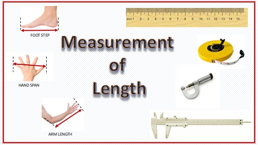Measuring Length - Grade 3 - Quizizz