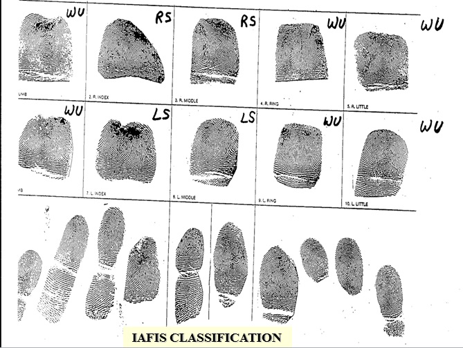 Fingerprint Evidence: Classifying Fingerprints | 352 plays | Quizizz