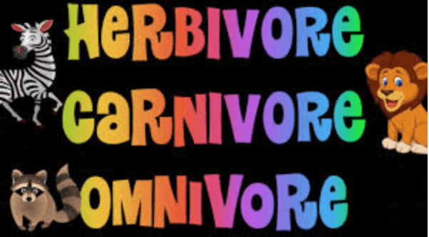Herbivore/Carnivore/Omnivore Test | Science Quiz - Quizizz