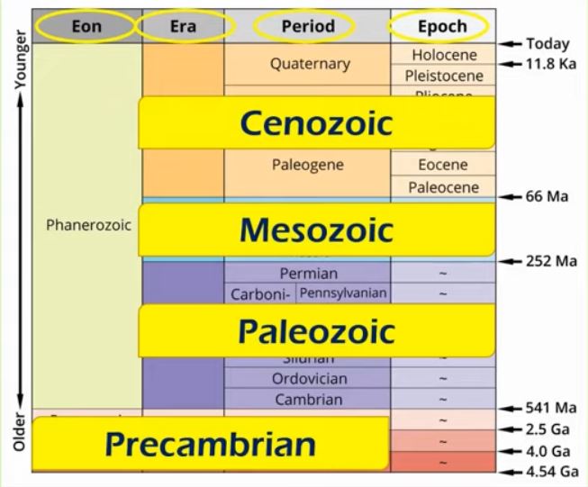 Weeks 16-17 Geologic Time Scale Lesson Questions & Answers For Quizzes ...