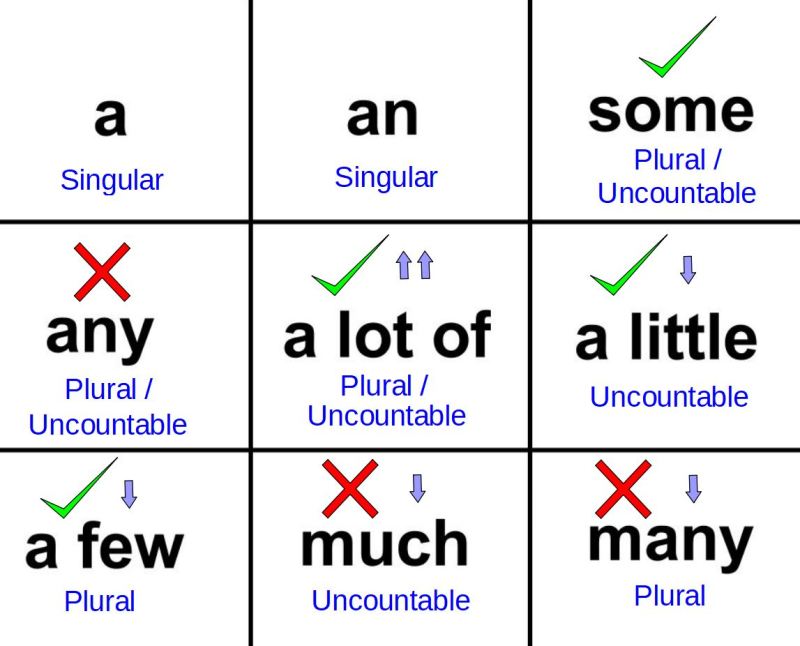 Quantifiers | Quizizz