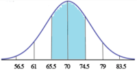 normal distribution - Class 10 - Quizizz