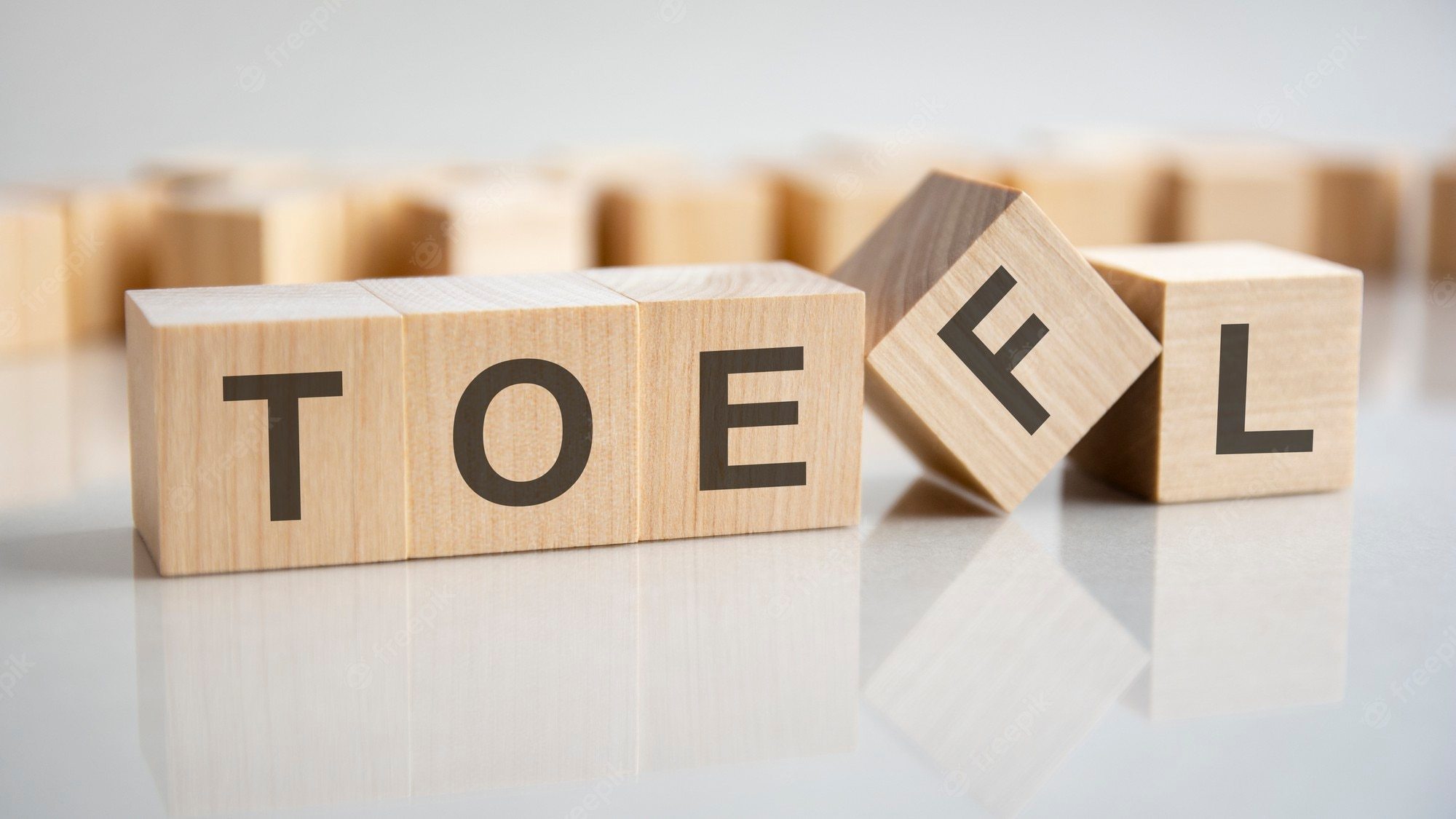 TOEFL Vocabulary - Year 9 - Quizizz